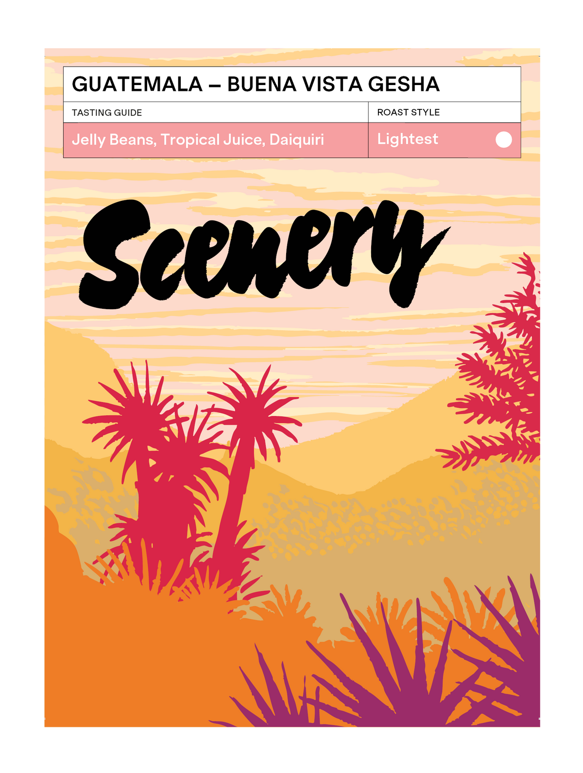 Scenery - Buena Vista Gesha (Filter)